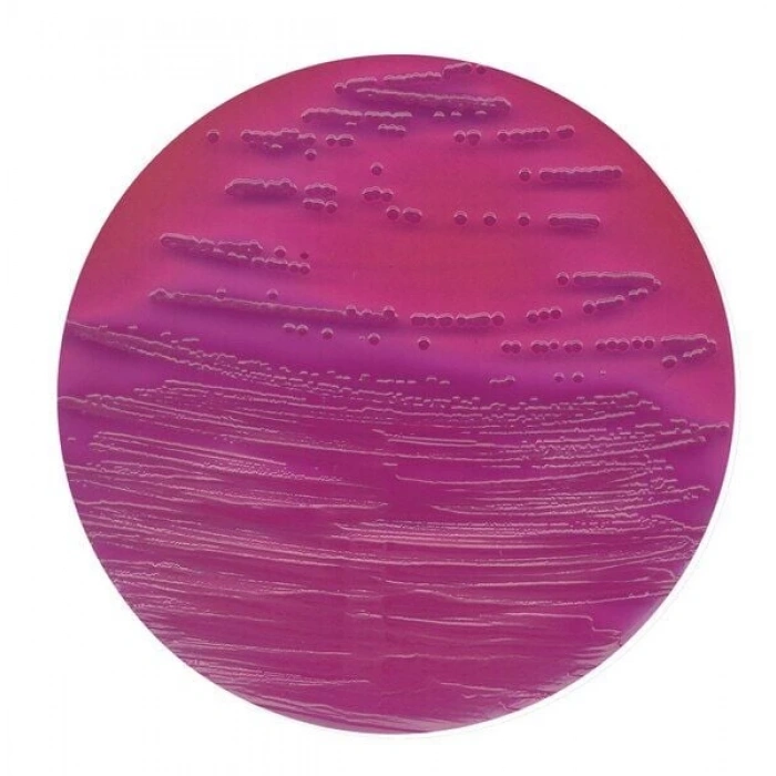 104030.0500 Vrb Agar For Microbiology Fluorocult® 500 Gr