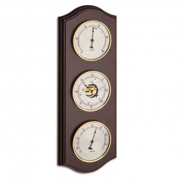 Ceviz analog hava istasyonu