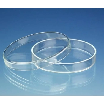 Petri Kutusu 100 X 20 Mm