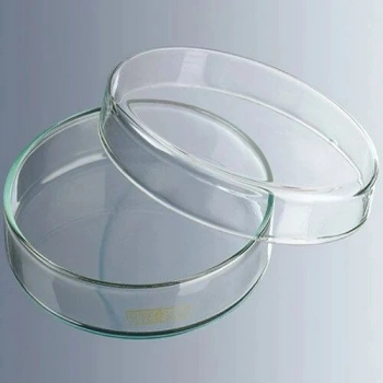 Petri Kutusu 60x15 mm, cam