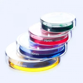 Petri Kutusu-Cam 150 x 25 mm