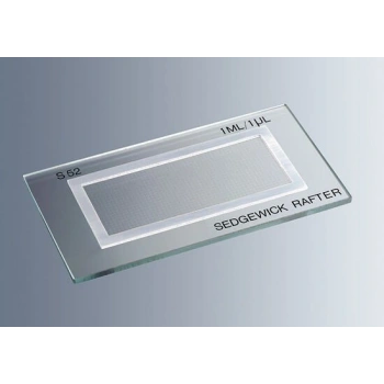 Sedgewick Rafter Lamı, Cam