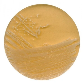 107324.0500 Tryptic Soy Agar With Polysorbate 80 And Lecithin For Microbiology 500 Gr