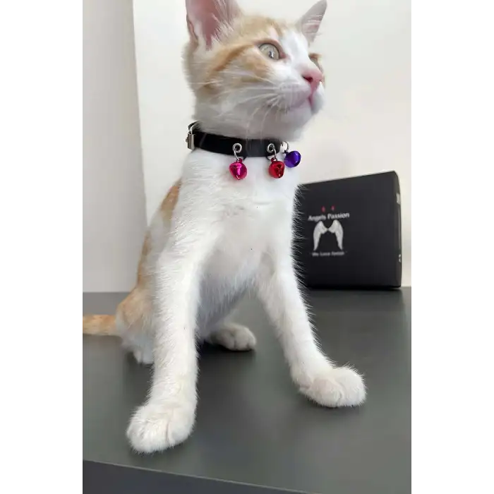 3 Zilli Kedi Tasması, Deri Kedi Tasması - NPC009