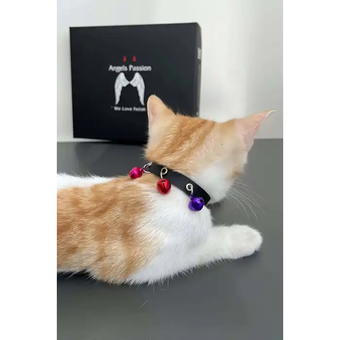 3 Zilli Kedi Tasması, Deri Kedi Tasması - NPC009