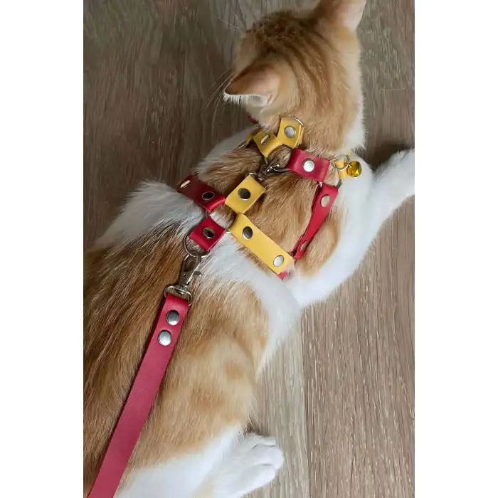 Deri Kedi Gezdirme Tasması, Deri Kedi Göğüs Tasması - NPC013