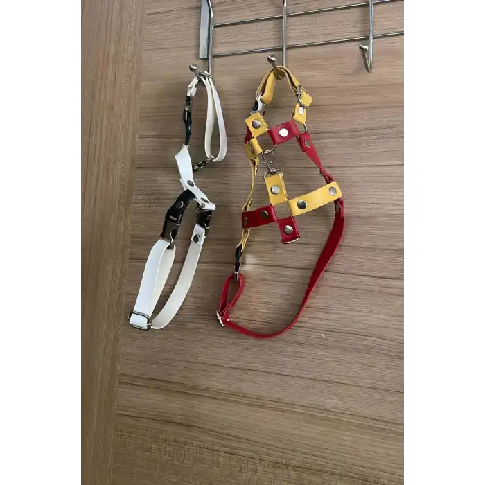 Deri Kedi Gezdirme Tasması, Deri Kedi Göğüs Tasması - NPC013