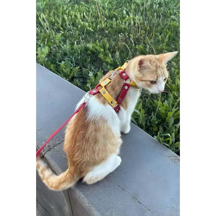 Deri Kedi Gezdirme Tasması, Deri Kedi Göğüs Tasması - NPC013