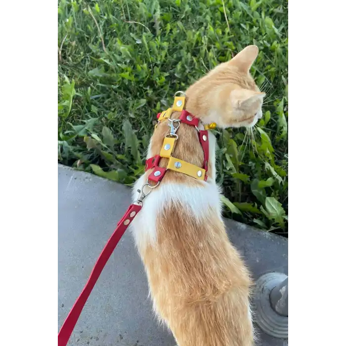 Deri Kedi Gezdirme Tasması, Deri Kedi Göğüs Tasması - NPC013