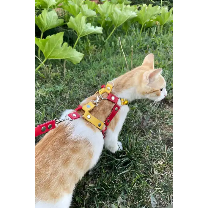 Deri Kedi Gezdirme Tasması, Deri Kedi Göğüs Tasması - NPC013