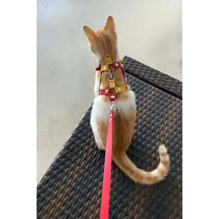 Deri Kedi Gezdirme Tasması, Deri Kedi Göğüs Tasması - NPC013