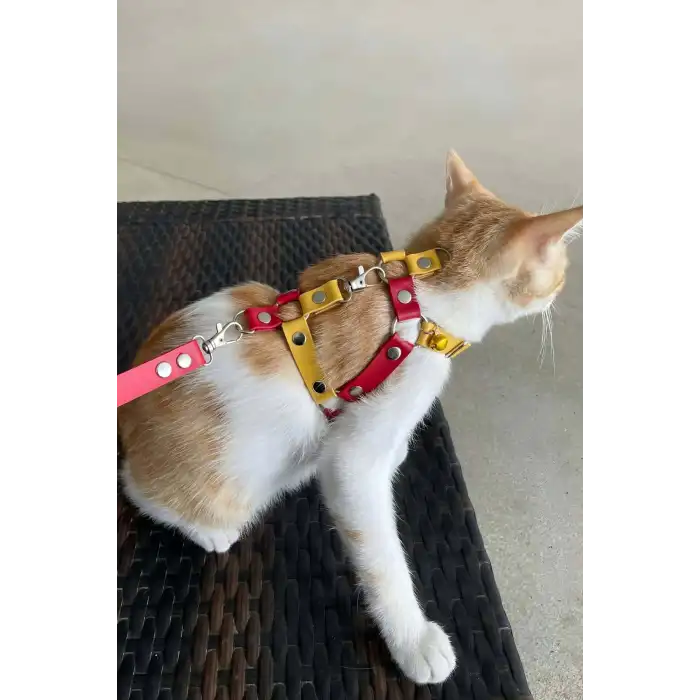 Deri Kedi Gezdirme Tasması, Deri Kedi Göğüs Tasması - NPC013