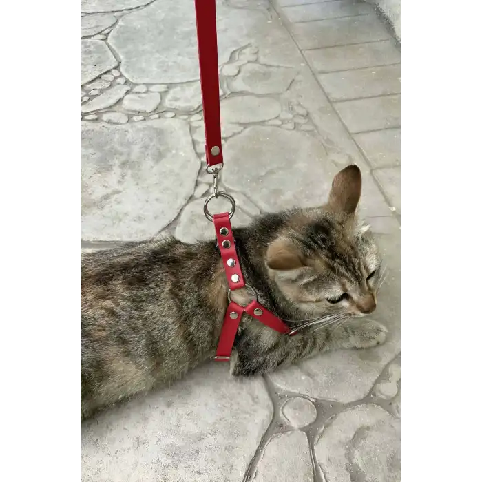 Deri Kedi Harness , Kedi Gezdirme Tasması - NPC005