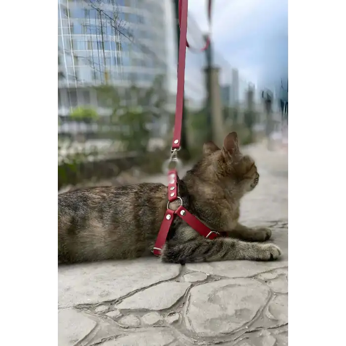 Deri Kedi Harness , Kedi Gezdirme Tasması - NPC005