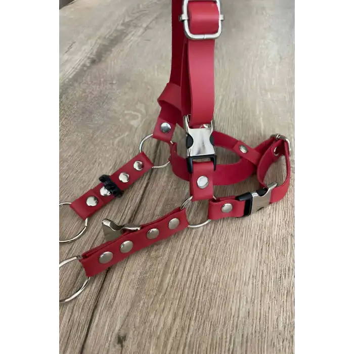 Deri Kedi Harness , Kedi Gezdirme Tasması - NPC005