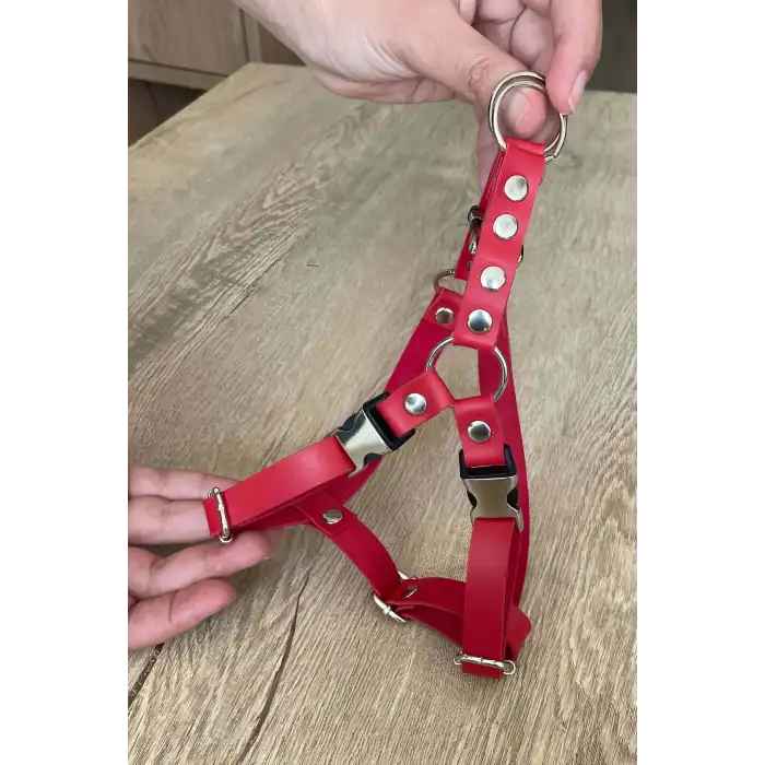 Deri Kedi Harness , Kedi Gezdirme Tasması - NPC005