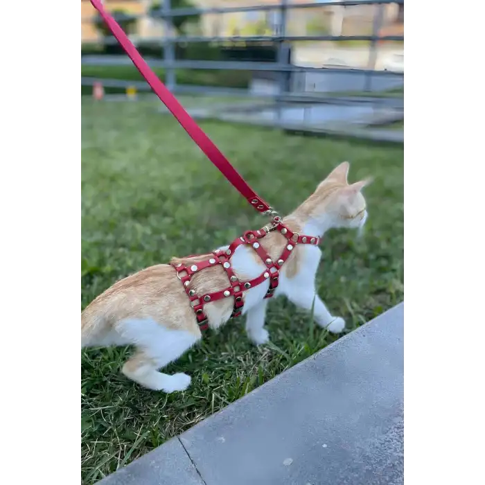 Full Body Kedi Harness, Kedi Gezdirme Tasması, Kedi Sokak Tasması - NPC011