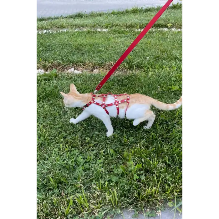 Full Body Kedi Harness, Kedi Gezdirme Tasması, Kedi Sokak Tasması - NPC011