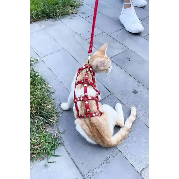 Full Body Kedi Harness, Kedi Gezdirme Tasması, Kedi Sokak Tasması - NPC011