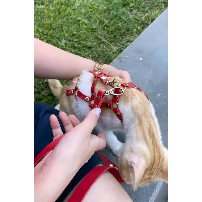 Full Body Kedi Harness, Kedi Gezdirme Tasması, Kedi Sokak Tasması - NPC011