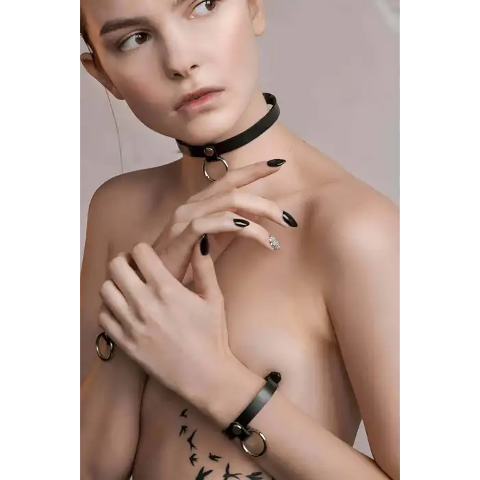 Halkalı Deri Tasma ve Bileklik Takım - APFT239