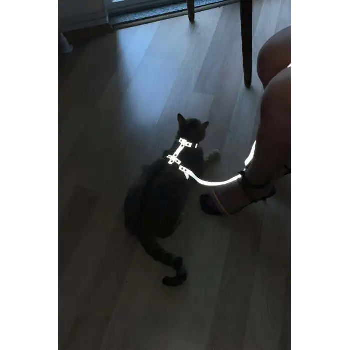 Karanlıkta Yansıyan Reflektörlü Kedi Harness, Özel Tasarım Kedi Harness - NPC007