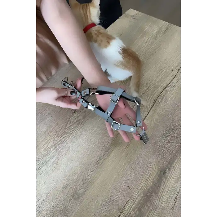 Karanlıkta Yansıyan Reflektörlü Kedi Harness , Özel Tasmalı Kedi Harness - NPC005