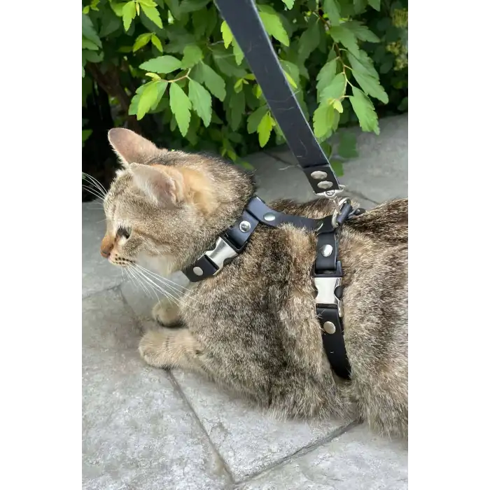 Kedi Gezdirme Tasması, Deri Kedi Gezdirme Tasması - NPC007