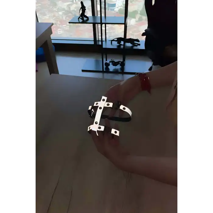 Kedi Harness Karanlıkta Yansıyan Göğüs Ve Gezdirme Seti - NPC007