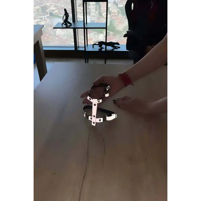 Kedi Harness Karanlıkta Yansıyan Göğüs Ve Gezdirme Seti - NPC007