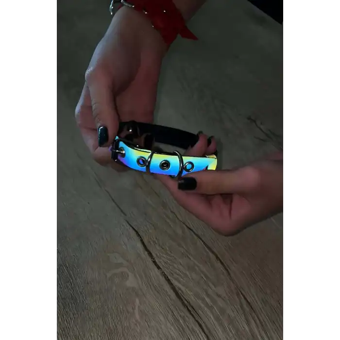 Kedi Reflektörlü Harness , Kedi Tasması - NPC001