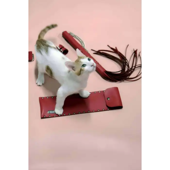 Kırbaç - Kelepçe Set, Kırbaç Takım, Fantezi Kelepçe Takım - APFT1304