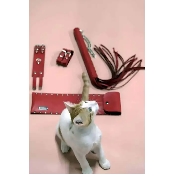 Kırbaç - Kelepçe Set, Kırbaç Takım, Fantezi Kelepçe Takım - APFT1304