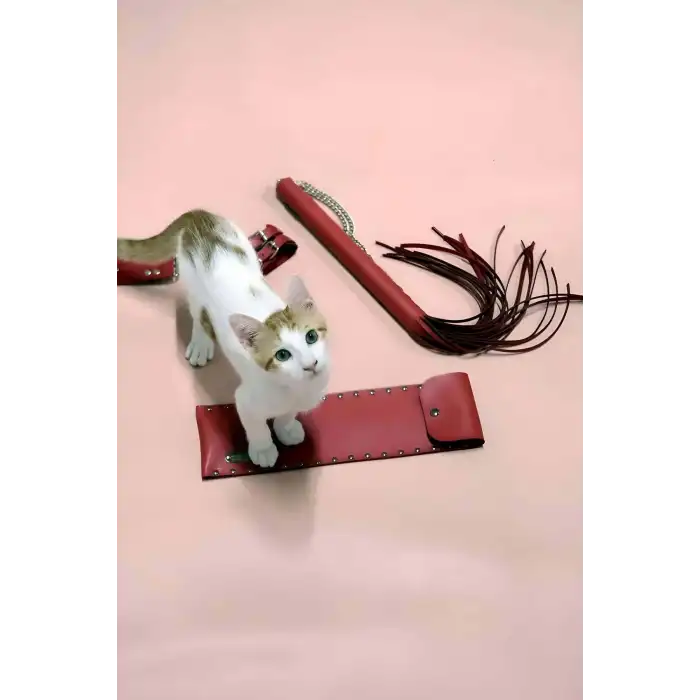 Kırbaç - Kelepçe Set, Kırbaç Takım, Fantezi Kelepçe Takım - APFT1304