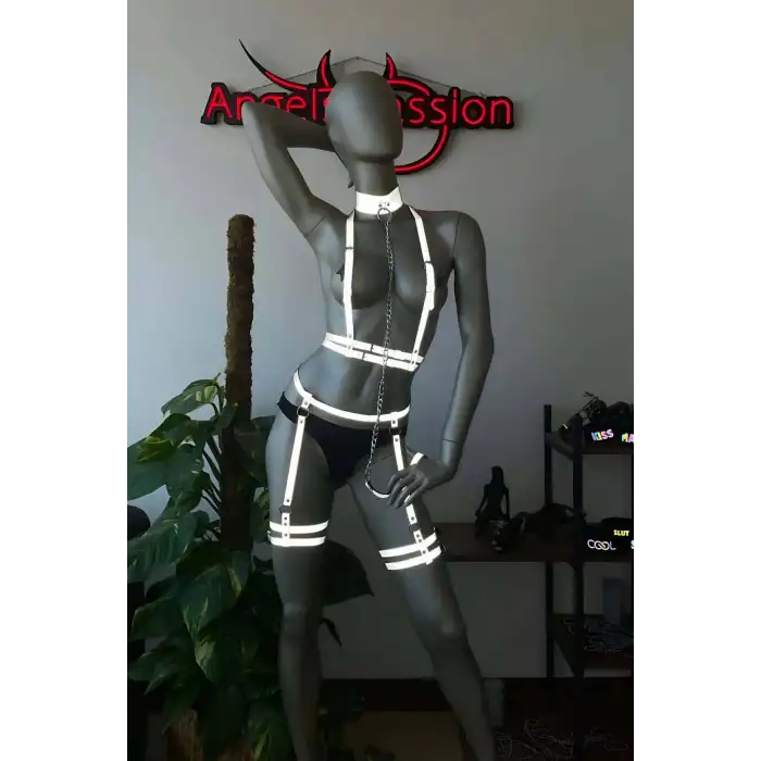 Parlak Jartiyer Takım Reflektörlü Harness Takım - APFT516