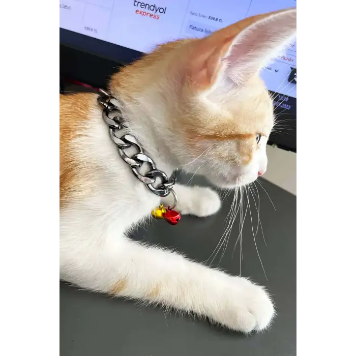 Rapçi Kedi Tasması, Zincir ve Zilli Kedi Tasması - NPC012
