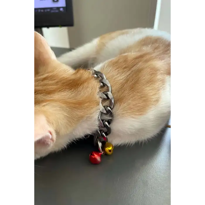 Rapçi Kedi Tasması, Zincir ve Zilli Kedi Tasması - NPC012
