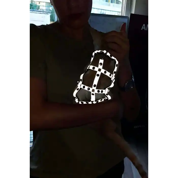 Renkli Reflektör Karanlıkta Parlayan Şık Kedi Harness, Kedi Yürüme Tasması, Kedi Güvenlik Tasması - NPC011