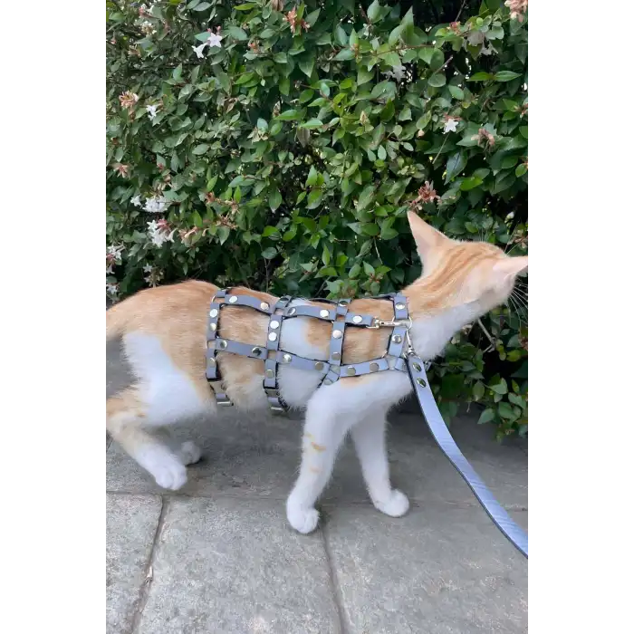 Renkli Reflektör Karanlıkta Parlayan Şık Kedi Harness, Kedi Yürüme Tasması, Kedi Güvenlik Tasması - NPC011