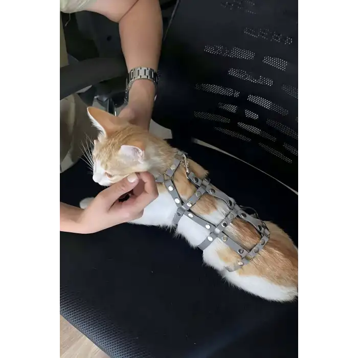 Renkli Reflektör Karanlıkta Parlayan Şık Kedi Harness, Kedi Yürüme Tasması, Kedi Güvenlik Tasması - NPC011