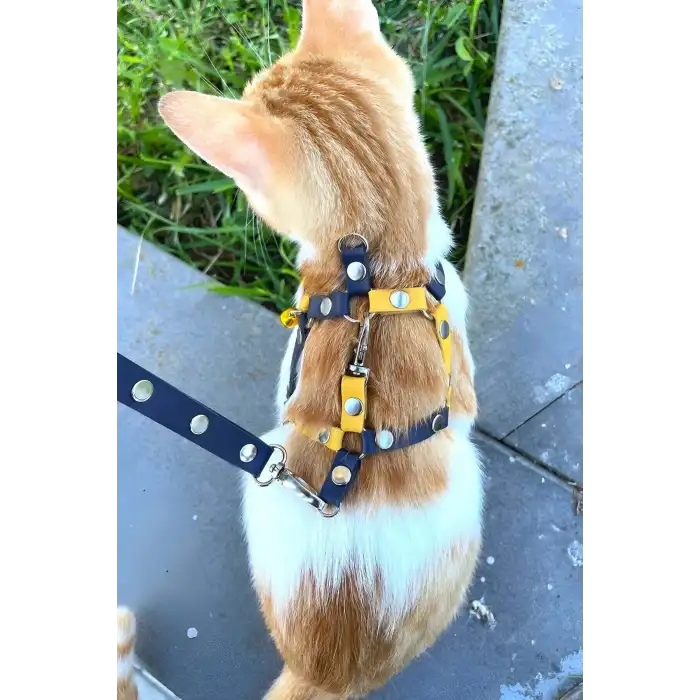 Sarı Lacivert Fanatik Kedi Tasması, Kedi Gezdirme Tasması, Kedi Göğüs Tasması - NPC003