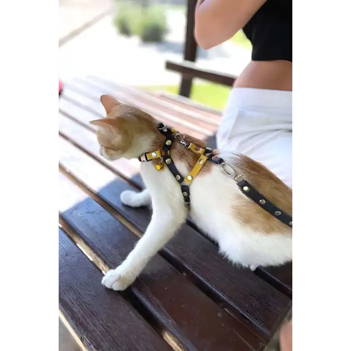 Sarı Lacivert Fanatik Kedi Tasması, Kedi Gezdirme Tasması, Kedi Göğüs Tasması - NPC003