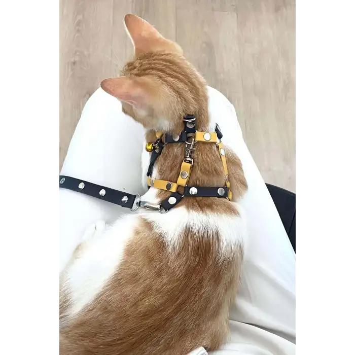 Sarı Lacivert Fanatik Kedi Tasması, Kedi Gezdirme Tasması, Kedi Göğüs Tasması - NPC003