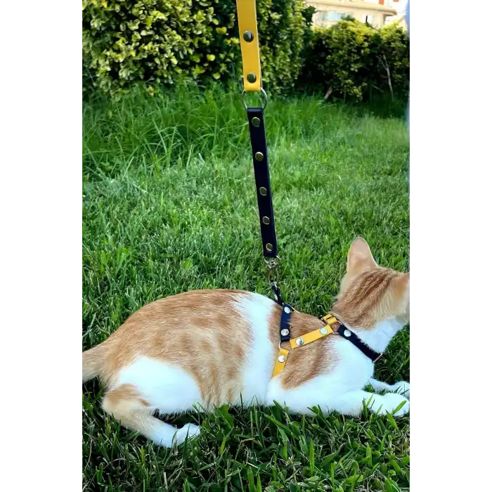 Sarı Lacivert Fanatik Kedi Tasması, Kedi Gezdirme Tasması, Kedi Göğüs Tasması - NPC003