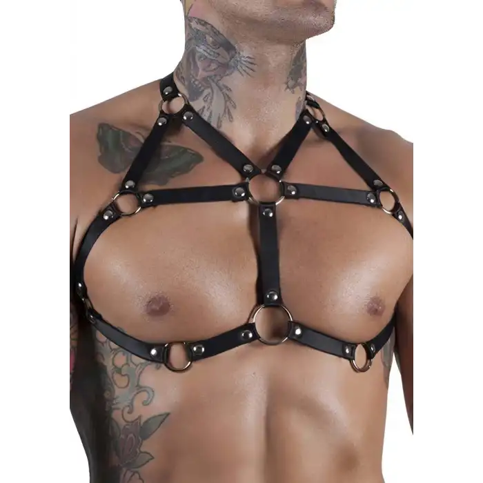 Seksi Lastik Fantazi Erkek Giyim - APFTM57