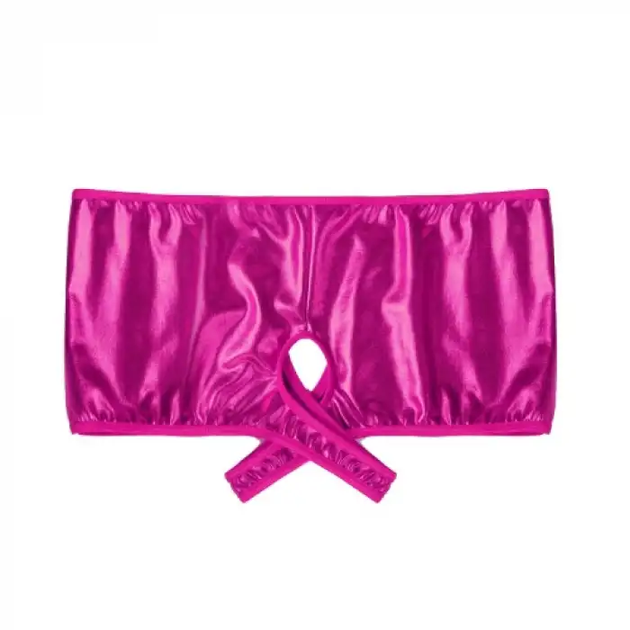Tegan Fantezi Pembe Özel Bölgeleri Açık Parlak Külot TG270047