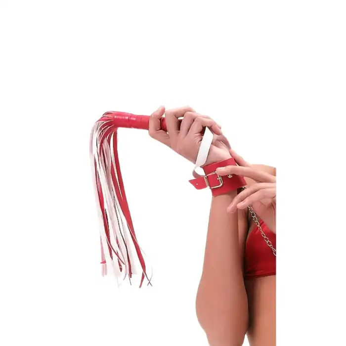 Tegan Fantezi Seks Kırbacı TG275366