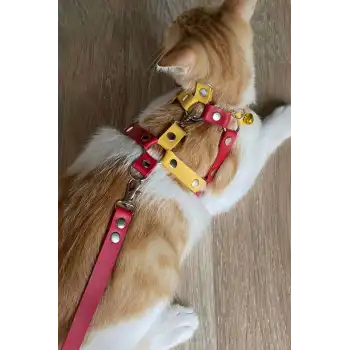 Deri Kedi Gezdirme Tasması, Deri Kedi Göğüs Tasması - NPC013