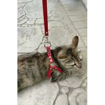 Deri Kedi Harness , Kedi Gezdirme Tasması - NPC005