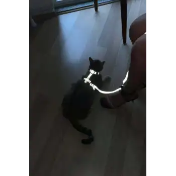 Karanlıkta Yansıyan Reflektörlü Kedi Harness, Özel Tasarım Kedi Harness - NPC007